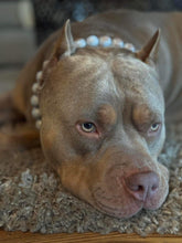 Load image into Gallery viewer, Sky Blue Resin Bead Collar
