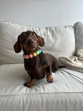 Load image into Gallery viewer, Pastel Rainbow Acrylic Bead Collar