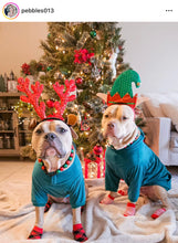 Load image into Gallery viewer, Christmas Frost Bead Collar