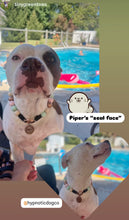 Load image into Gallery viewer, Sugar & Spice Bead Collar