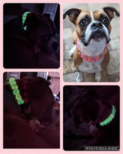 Load image into Gallery viewer, Sunburst Glow Rainbow Bead Collar