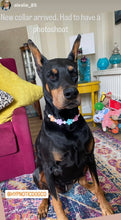 Load image into Gallery viewer, š¼ Multicolor Daisies š¼ Silicone Bead Collar