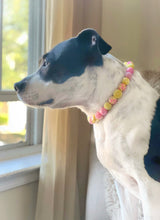Load image into Gallery viewer, Akira's Pink Lemonade š©·š Bead Collar