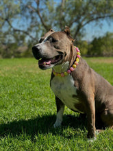 Load image into Gallery viewer, Akira's Pink Lemonade š©·š Bead Collar