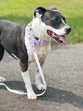 Load image into Gallery viewer, 4 Foot Waterproof Leash ◾️ - SALE (Thin D-Ring, Ready to Ship)