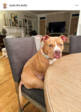 Load image into Gallery viewer, š¦ Y2K Butterfly Bead Collar
