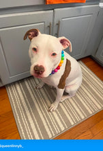 Load image into Gallery viewer, Rainbow š Acrylic Bead Collar