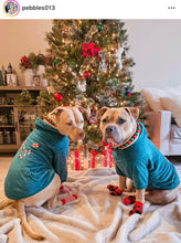 Load image into Gallery viewer, Christmas Frost Bead Collar
