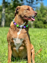 Load image into Gallery viewer, Midnight Cauldron Halloween Glow Bead Collar