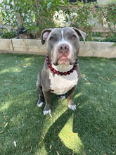 Load image into Gallery viewer, Ruby Smoke Acrylic Bead Collar