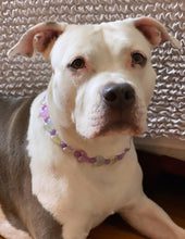 Load image into Gallery viewer, Purple Multicolor Glow Hearts Bead Collar