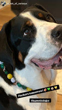 Load image into Gallery viewer, š Football NFL Team Colors Bead Collar