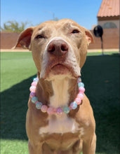 Load image into Gallery viewer, Mermaid Shimmer 🧜🏻♀️✨ Bead Collar
