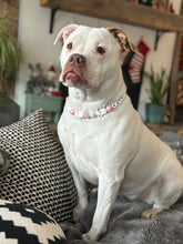Load image into Gallery viewer, Pink Frosty ⛄️ Bead Collar