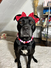 Load image into Gallery viewer, Love, Kitty š Bead Collar