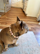 Load image into Gallery viewer, Rose Gold Champagne Bead Collar