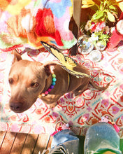 Load image into Gallery viewer, Boho Rainbow Acrylic Bead Collar