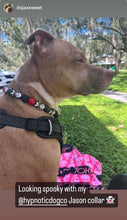 Load image into Gallery viewer, Friday the 13th Bead Collar