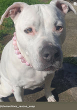 Load image into Gallery viewer, Pink Rodeo Bead Collar