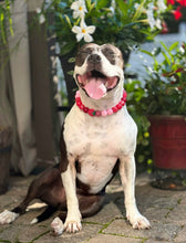 Load image into Gallery viewer, Strawberry Shortcake Bead Collar
