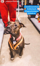 Load image into Gallery viewer, Blush Pink Rain Triplo Acrylic Bead Collar
