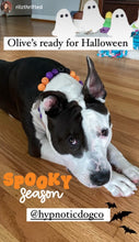 Load image into Gallery viewer, Witching Hour Halloween Bead Collar