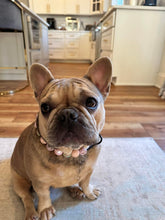 Load image into Gallery viewer, Rose Gold Champagne Bead Collar