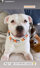 Load image into Gallery viewer, Orange Boo š» Halloween Glow Bead Collar