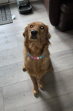 Load image into Gallery viewer, Bubblegum Acrylic Bead Collar