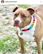 Load image into Gallery viewer, Rainbow š Acrylic Bead Collar