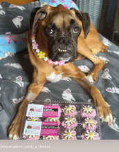 Load image into Gallery viewer, š¼ Multicolor Daisies š¼ Silicone Bead Collar