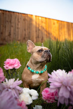 Load image into Gallery viewer, Sea Glass Acrylic Bead Collar