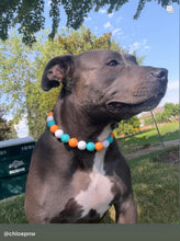 Load image into Gallery viewer, Tropicana Acrylic Bead Collar