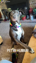 Load image into Gallery viewer, Rainbow š Acrylic Bead Collar