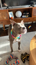 Load image into Gallery viewer, Boho Rainbow Acrylic Bead Collar
