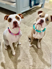 Load image into Gallery viewer, Pink Sugar Bead Collar