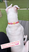 Load image into Gallery viewer, Orange & Red Crystal Flowers 🌸 Acrylic Bead Collar