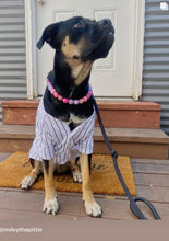 Load image into Gallery viewer, Pink Sugar Bead Collar