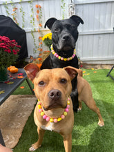 Load image into Gallery viewer, Akira's Pink Lemonade š©·š Bead Collar