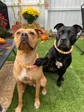 Load image into Gallery viewer, Akira's Pink Lemonade š©·š Bead Collar