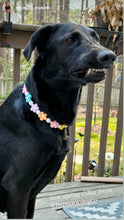 Load image into Gallery viewer, š¼ Multicolor Daisies š¼ Silicone Bead Collar