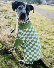 Load image into Gallery viewer, š¼ Multicolor Daisies š¼ Silicone Bead Collar