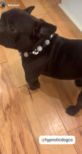 Load image into Gallery viewer, Yin & Yang ☯️ Bead Collar