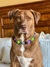 Load image into Gallery viewer, Midnight Cauldron Halloween Glow Bead Collar