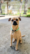 Load image into Gallery viewer, Minty Sage Acrylic Bead Collar - SALE