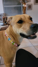 Load image into Gallery viewer, 🍬 Tutti Frutti Candy Bead Collar - SALE