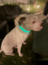 Load image into Gallery viewer, Kelly Green Glow in the Dark Acrylic Bead Collar