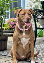 Load image into Gallery viewer, Pink Rodeo Bead Collar