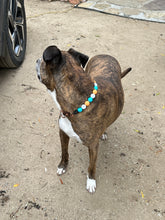 Load image into Gallery viewer, Tropicana Acrylic Bead Collar