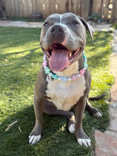 Load image into Gallery viewer, š¼ Spring Fling Daisies š¼ Silicone Bead Collar